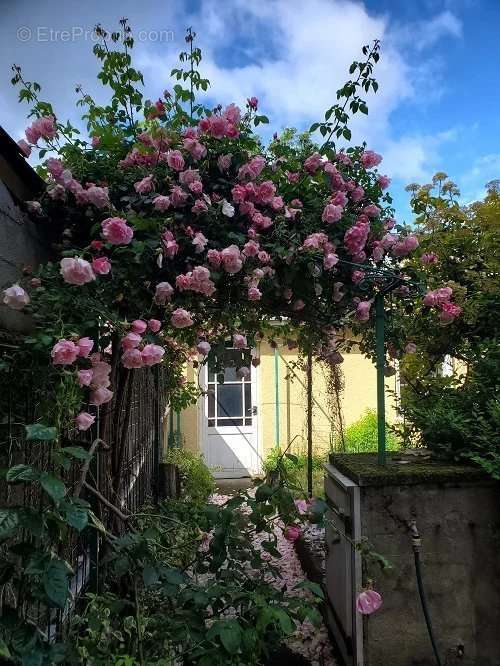 Maison à GAILLAC