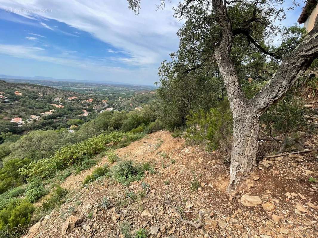 Terrain à LE BOULOU