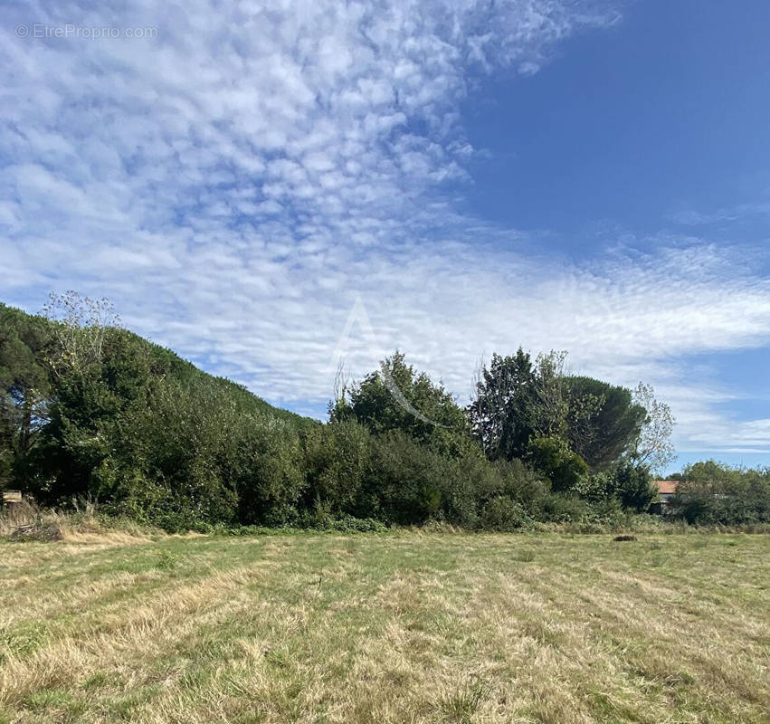 Terrain à TALMONT-SAINT-HILAIRE