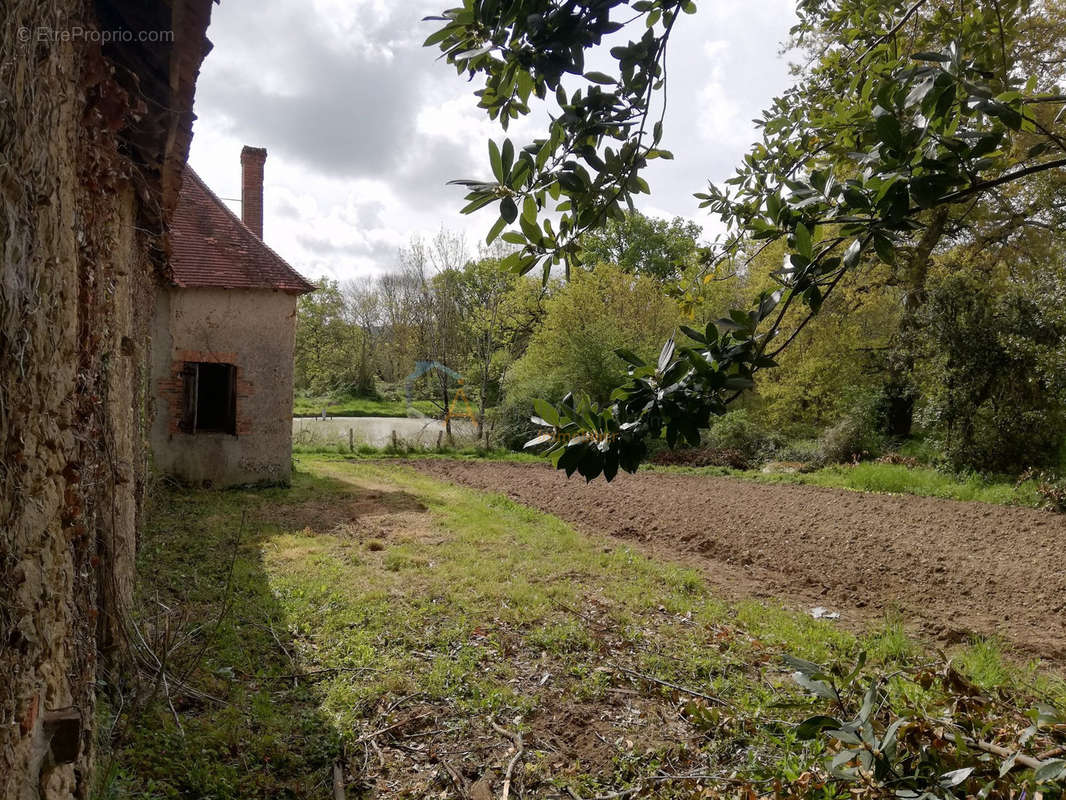 Maison à ROUSSINES