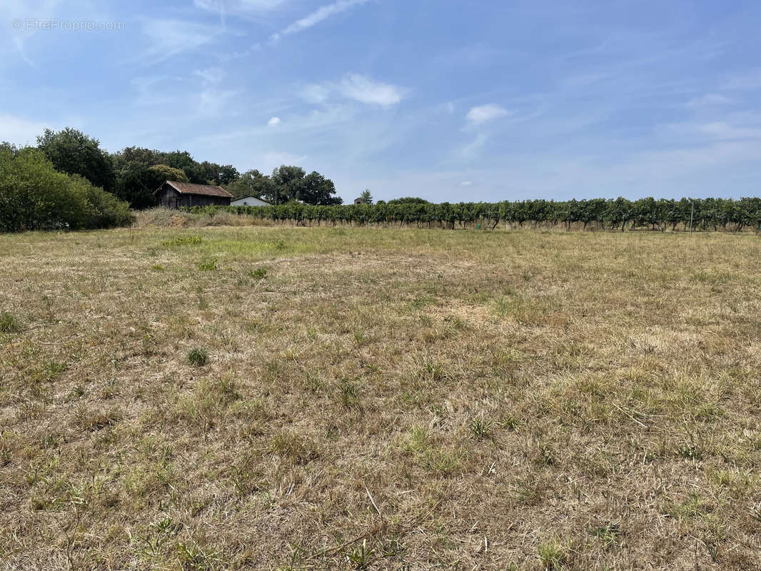 Terrain à MARMANDE