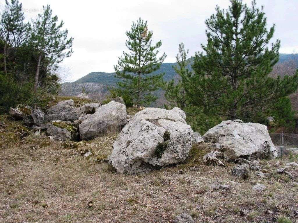 Terrain à SAINT-JULIEN-DU-VERDON