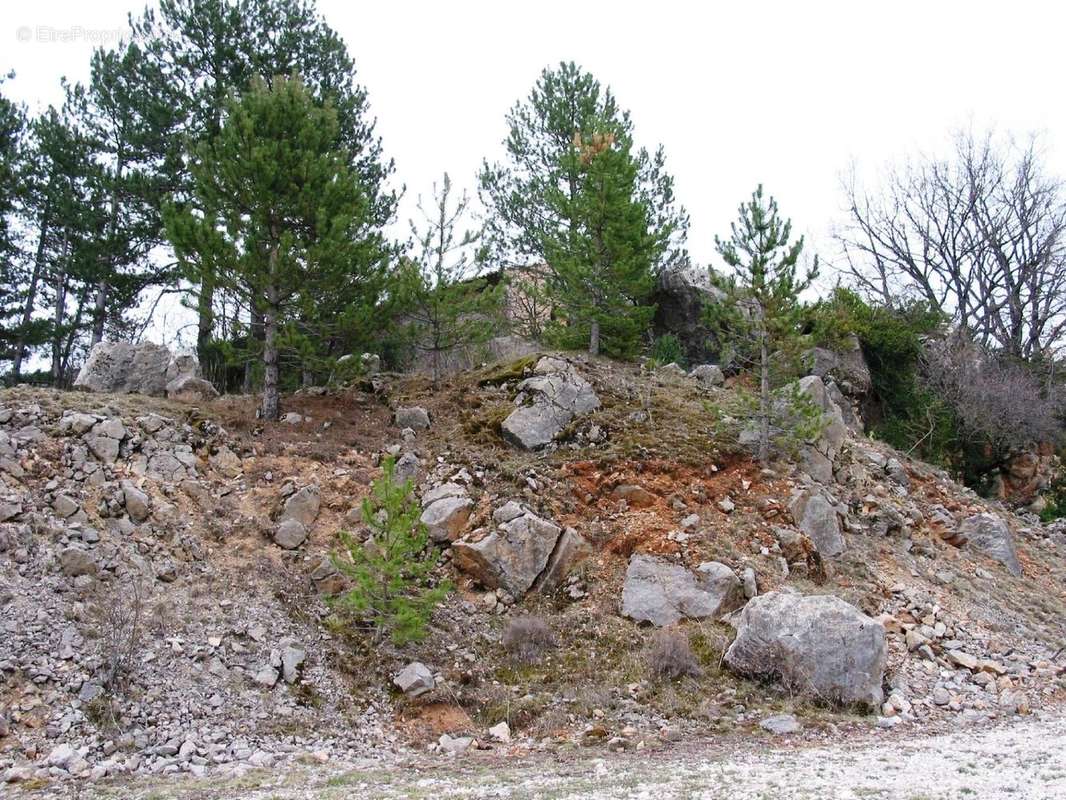 Terrain à SAINT-JULIEN-DU-VERDON