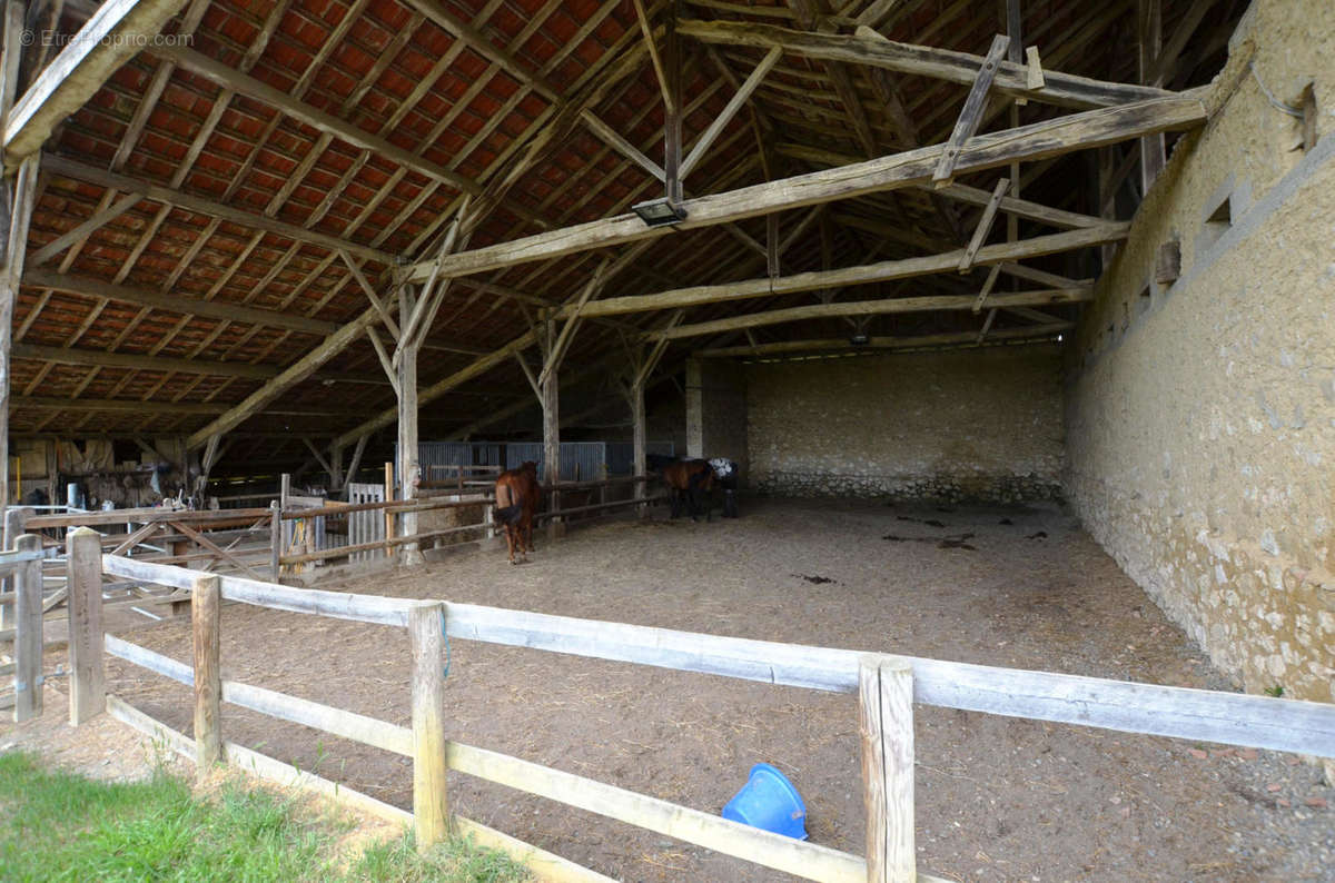 Manege - Maison à MONTESQUIOU