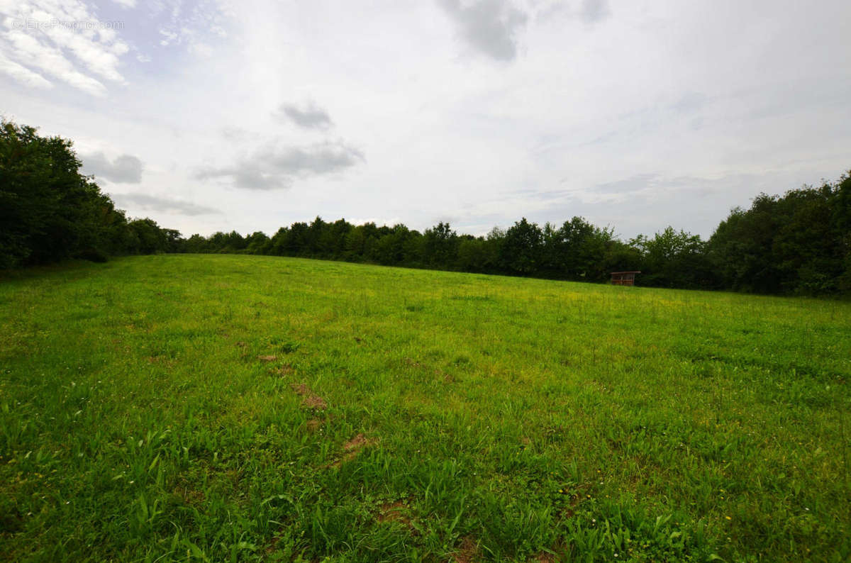 Prairie pour foin - Maison à MONTESQUIOU