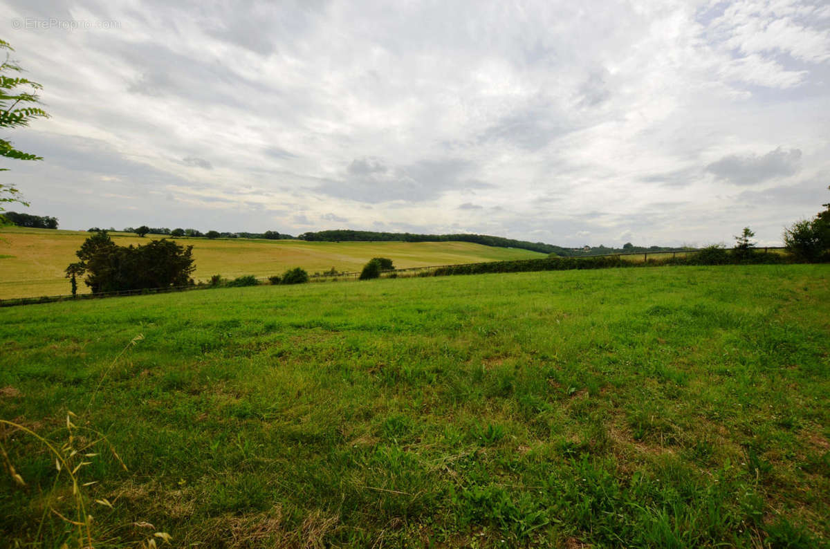 Prairie  - Maison à MONTESQUIOU