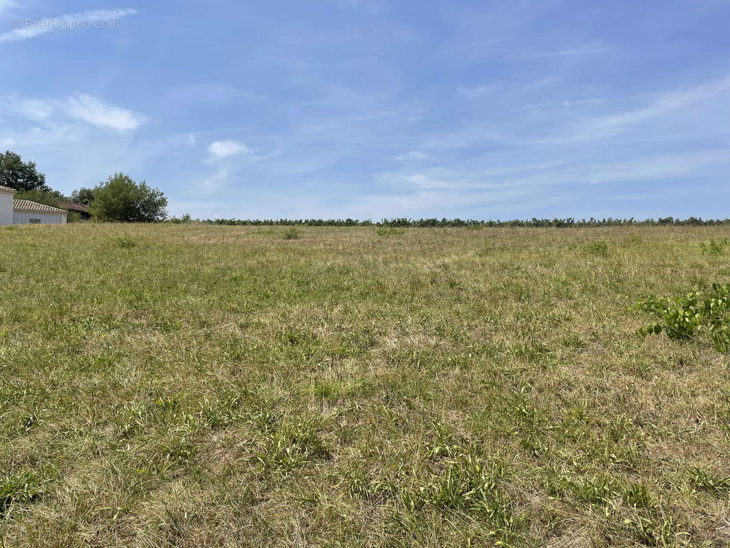 Terrain à MARMANDE