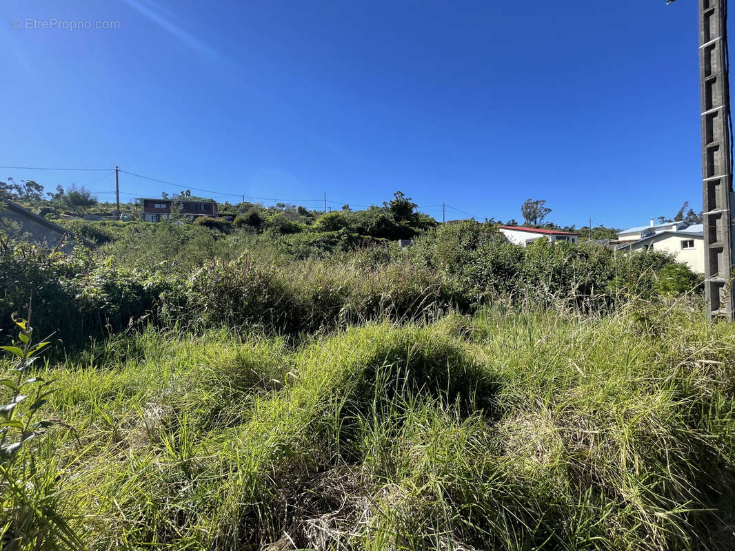 Terrain à SAINT-PIERRE