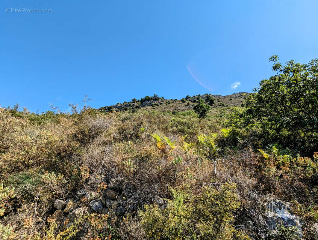 Terrain à VENCE