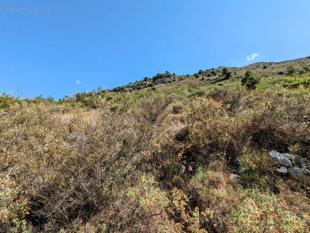 Terrain à VENCE