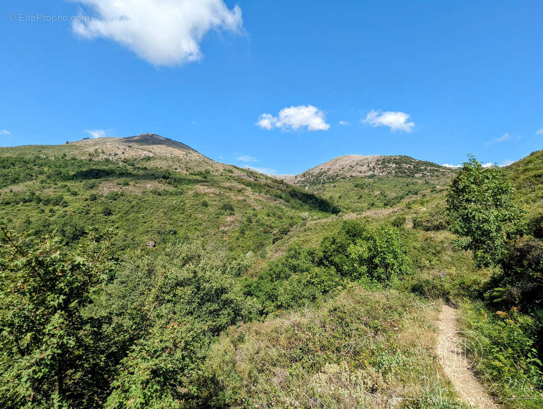 Terrain à VENCE