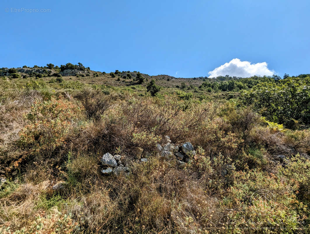 Terrain à VENCE