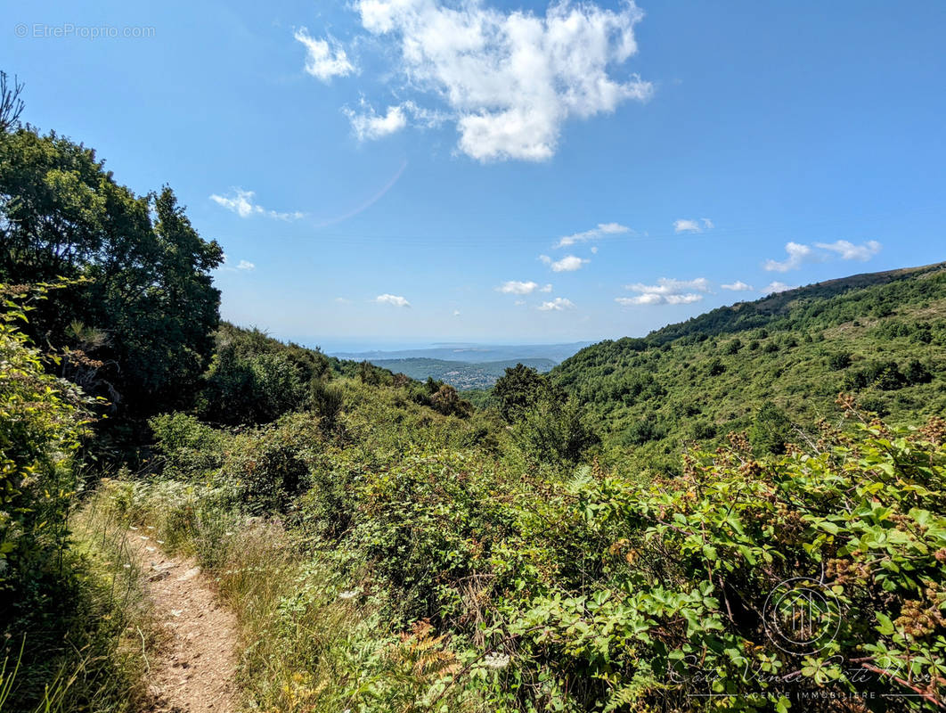 Terrain à VENCE