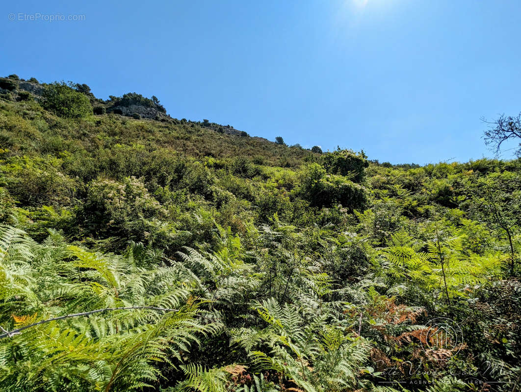 Terrain à VENCE