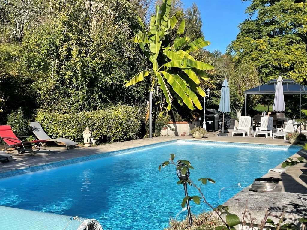  La Piscine et terrasse - Maison à LAROQUE-TIMBAUT