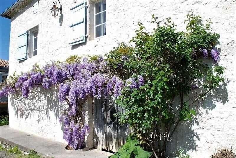 Le Gite - Maison à LAROQUE-TIMBAUT