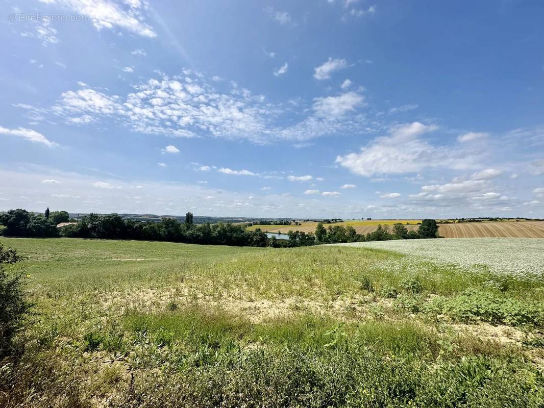 Terrain à L&#039;ISLE-JOURDAIN