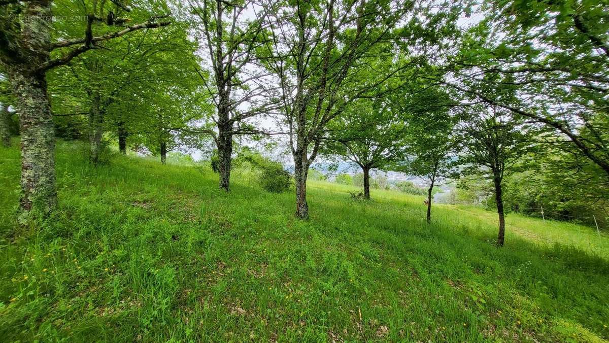 Terrain à BRIVE-LA-GAILLARDE