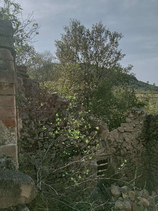 Terrain à SAINT-HIPPOLYTE-DU-FORT