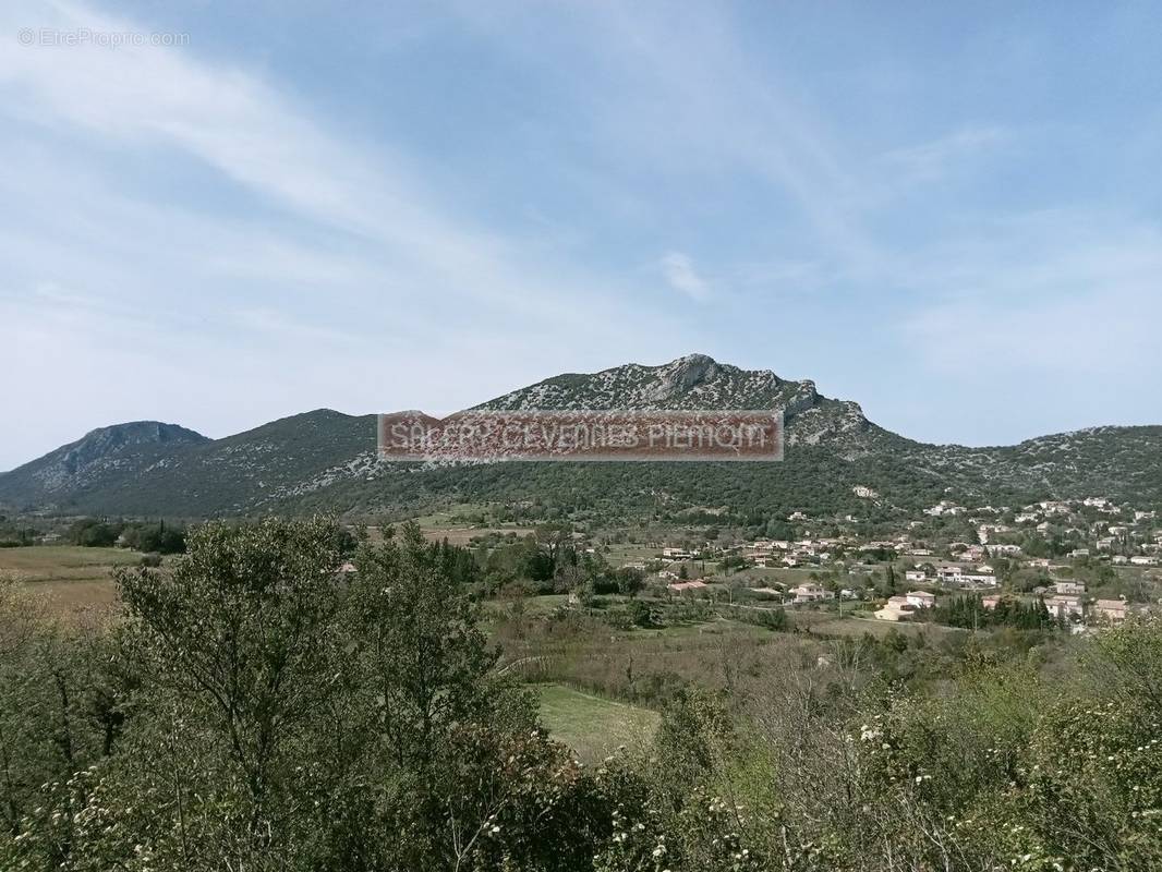 Terrain à SAINT-HIPPOLYTE-DU-FORT