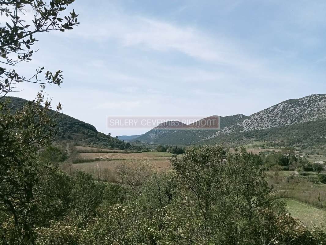 Terrain à SAINT-HIPPOLYTE-DU-FORT