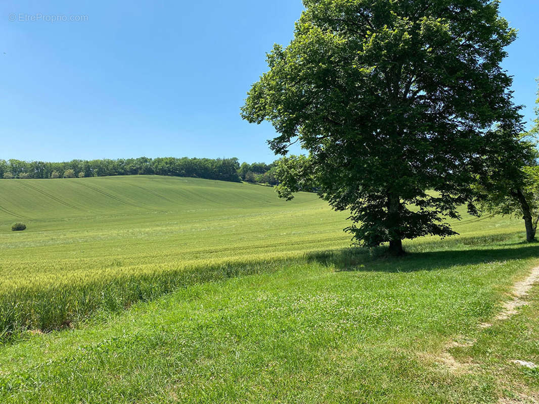 Terrain à PONT-DU-CASSE