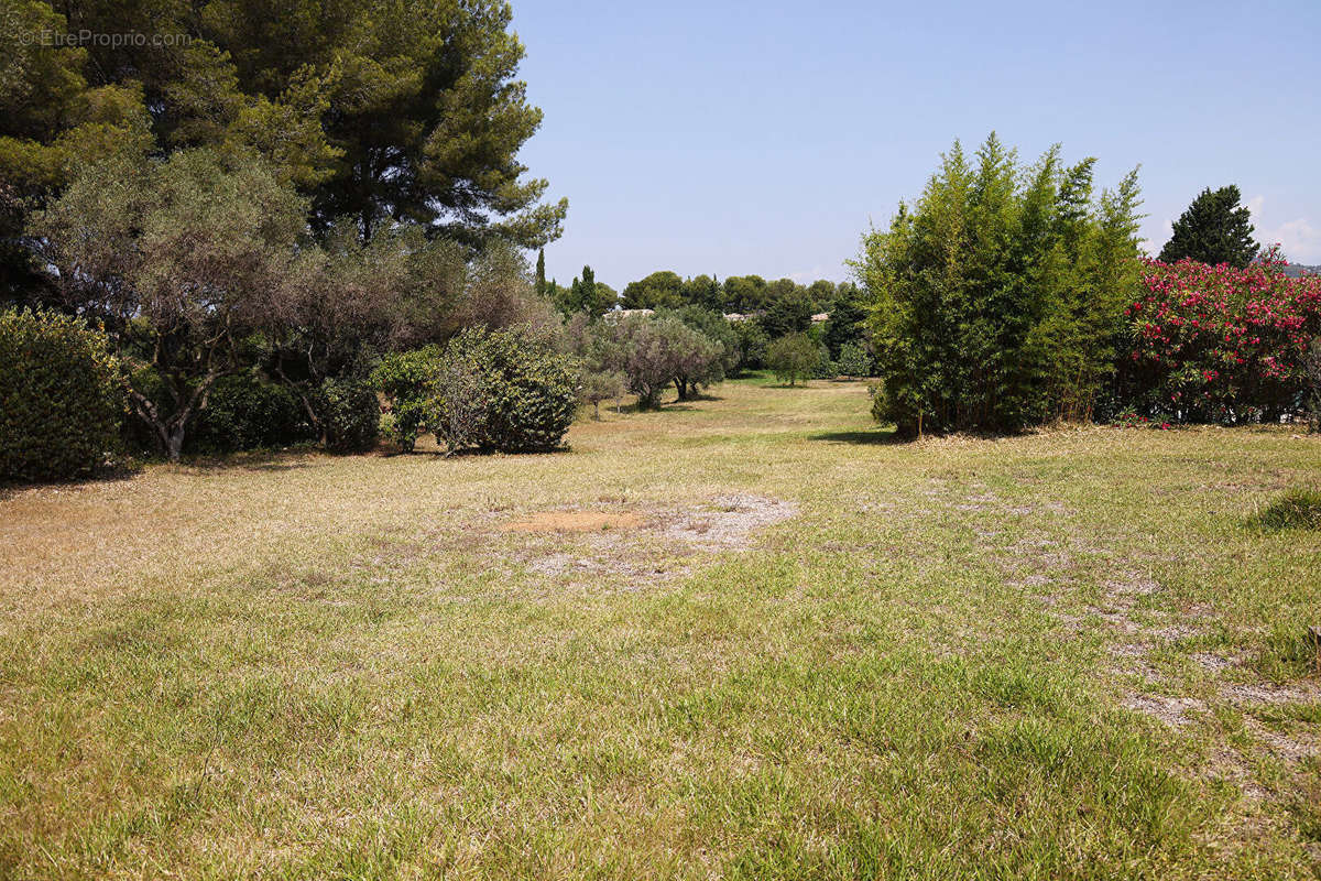 Terrain à SANARY-SUR-MER