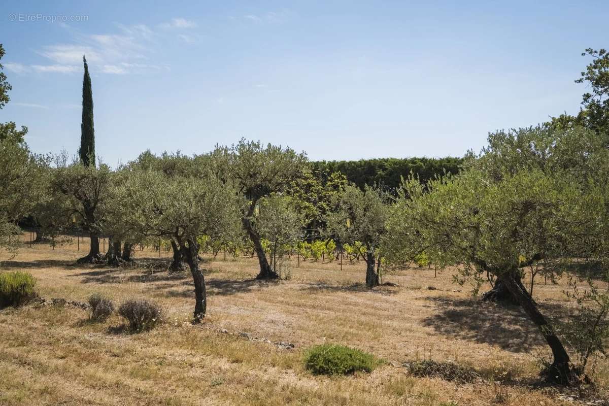 Maison à TOURTOUR