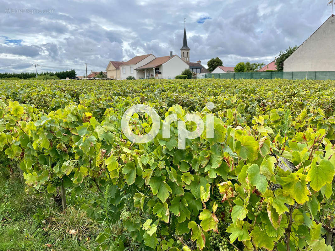 Terrain à GENLIS