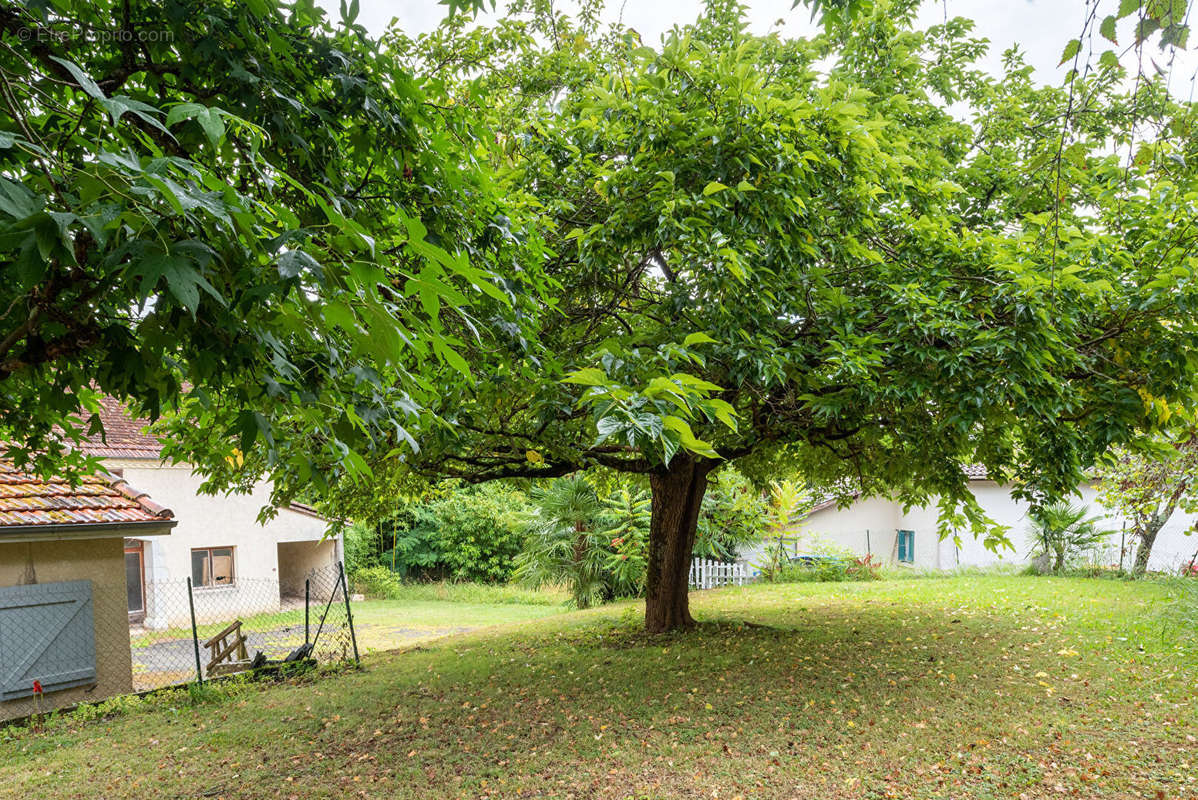 Maison à NASSIET