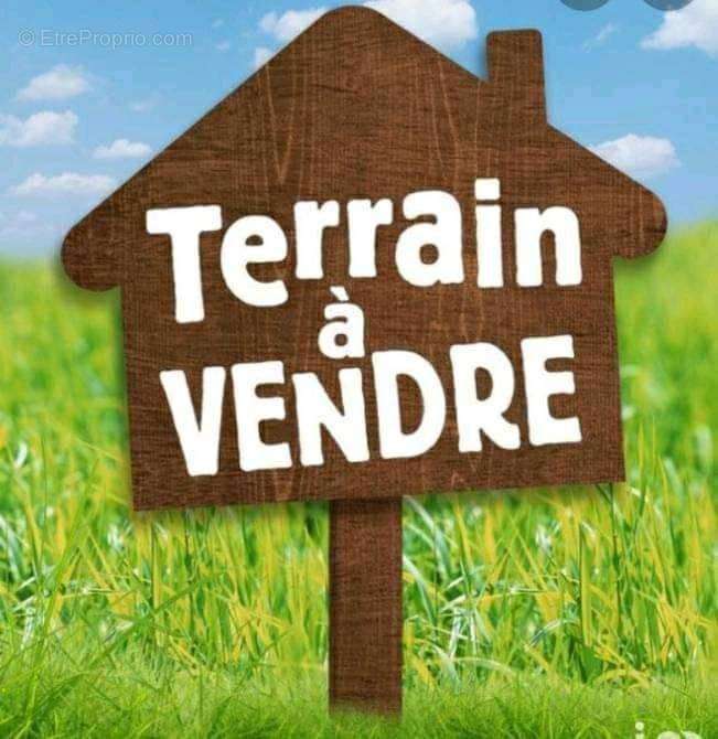 Terrain à MENESTREAU-EN-VILLETTE