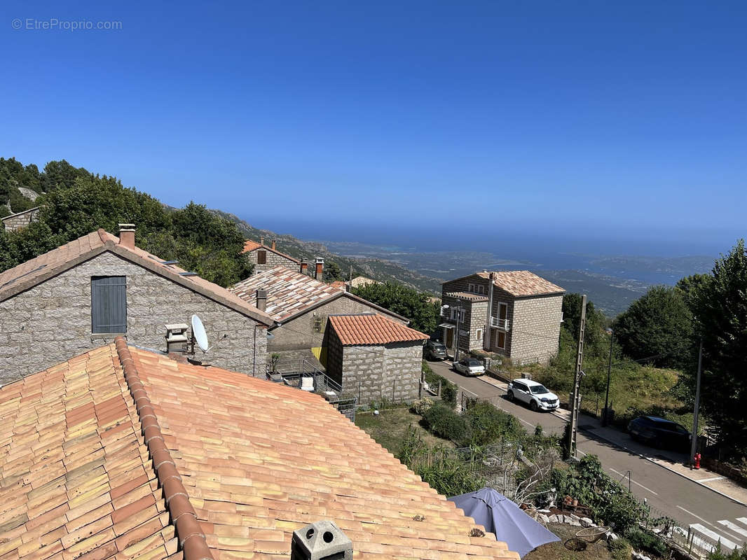 Maison à PORTO-VECCHIO