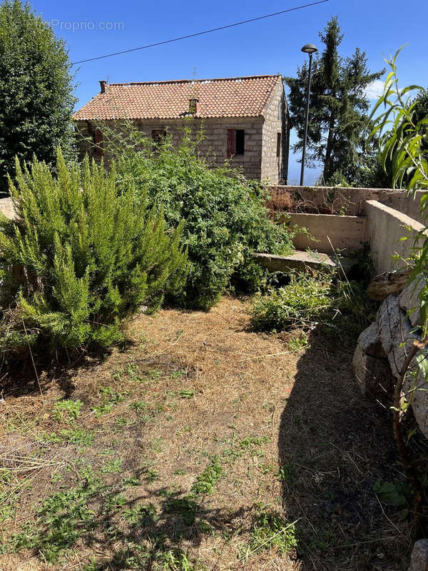 Maison à PORTO-VECCHIO