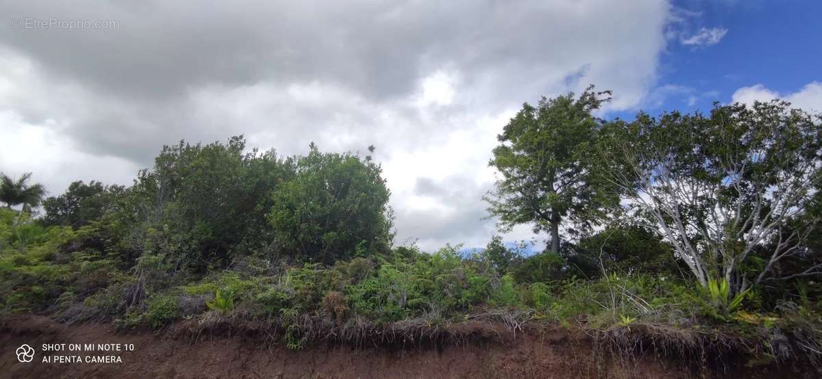 Terrain à SAINT-DENIS