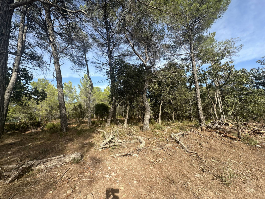 Terrain à SAINT-RAPHAEL