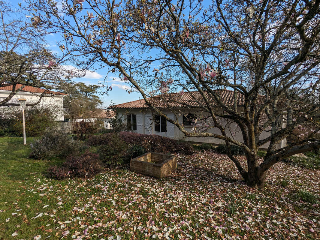 Maison à VILLENEUVE-TOLOSANE