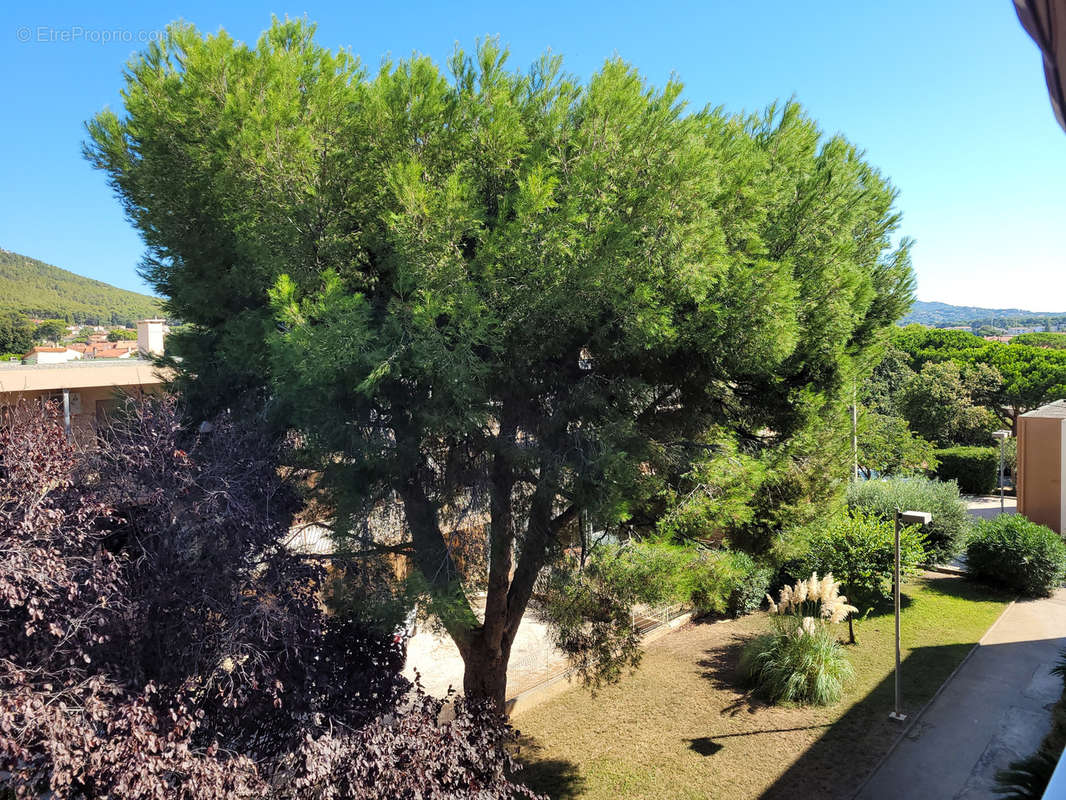 Appartement à SIX-FOURS-LES-PLAGES