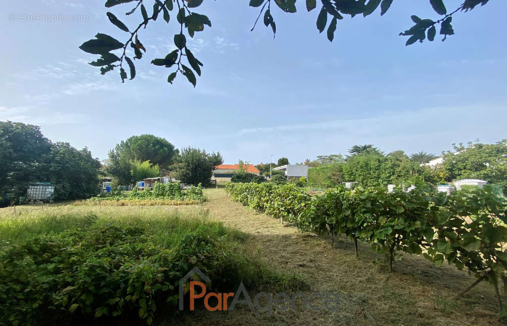 Terrain à VAUX-SUR-MER