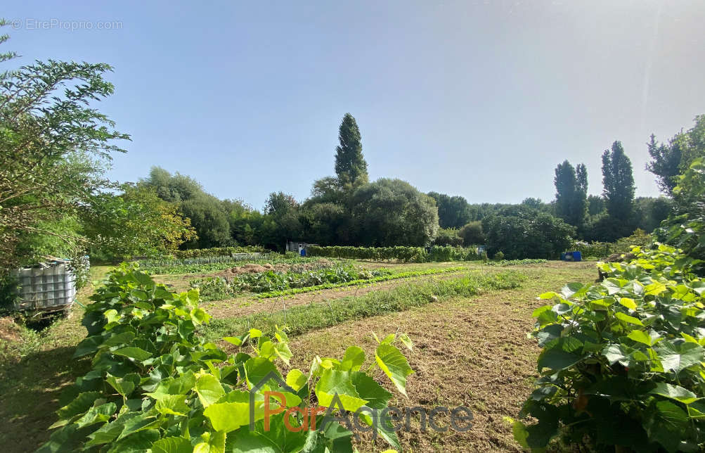 Terrain à VAUX-SUR-MER