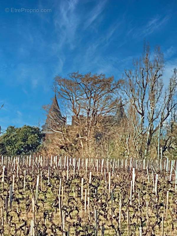 Maison à SAUTERNES