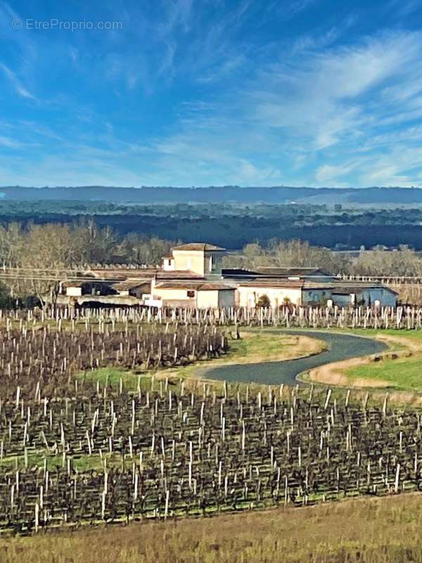 Maison à SAUTERNES