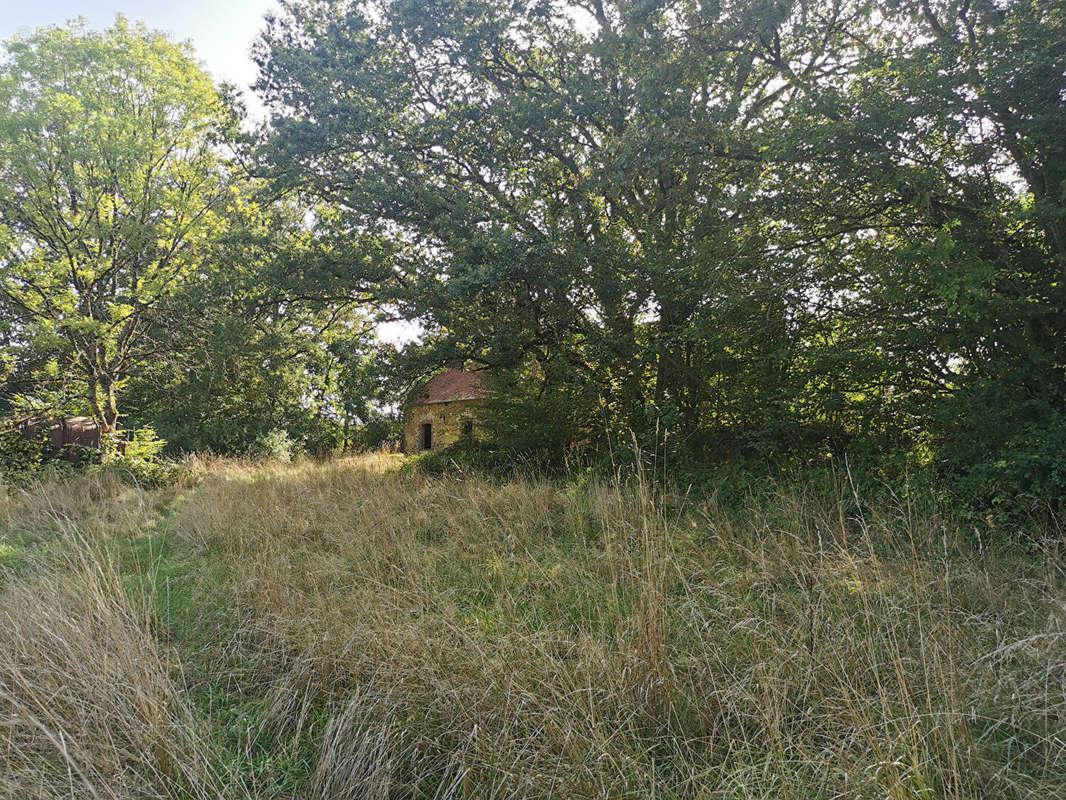 Maison à TREIGNY