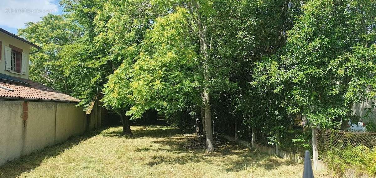 Terrain à COLOMIERS