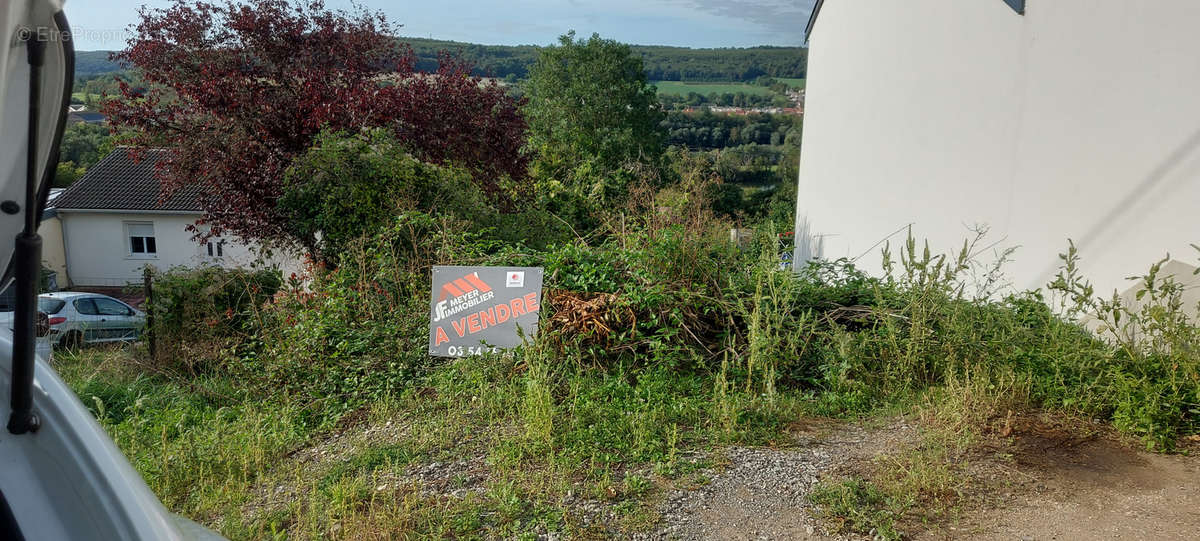 Terrain à AUTREVILLE-SUR-MOSELLE