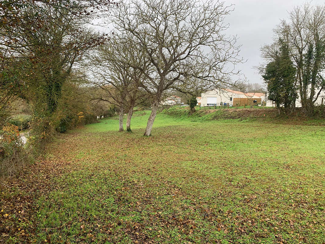 Terrain à TONNAY-BOUTONNE