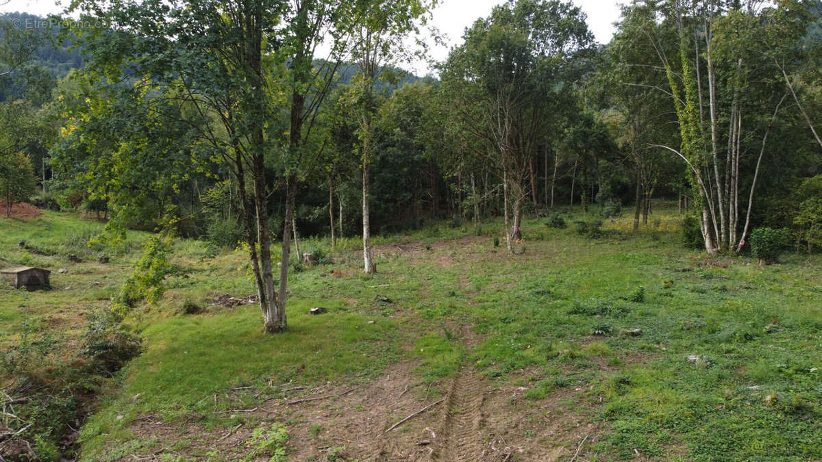 Terrain à SAINT-DIE-DES-VOSGES