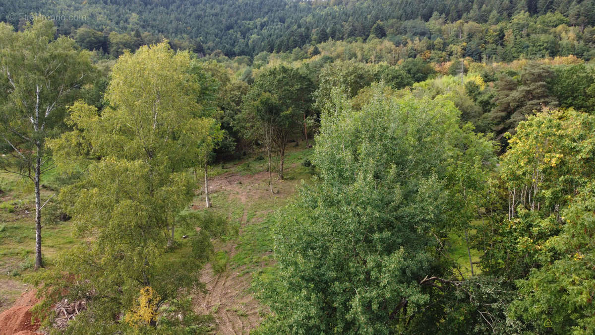 Terrain à SAINT-DIE-DES-VOSGES