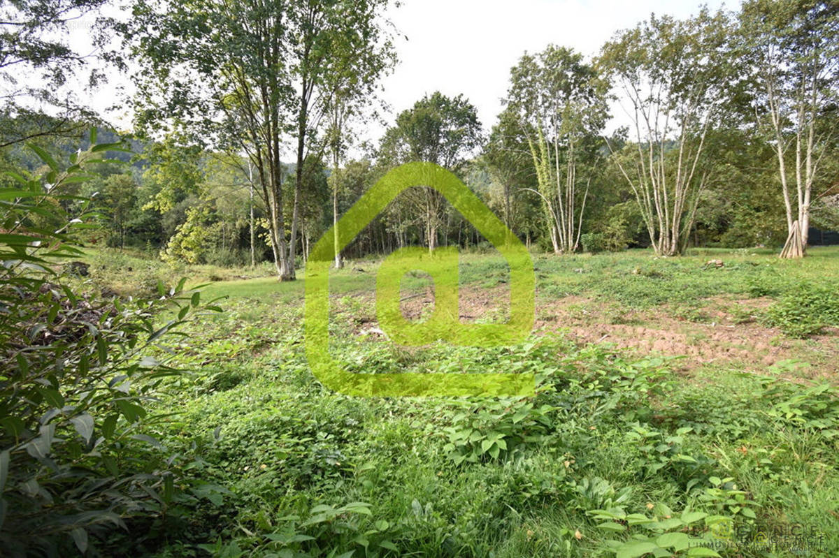 Terrain à SAINT-DIE-DES-VOSGES