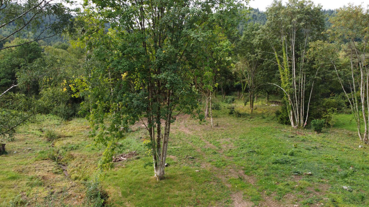 Terrain à SAINT-DIE-DES-VOSGES