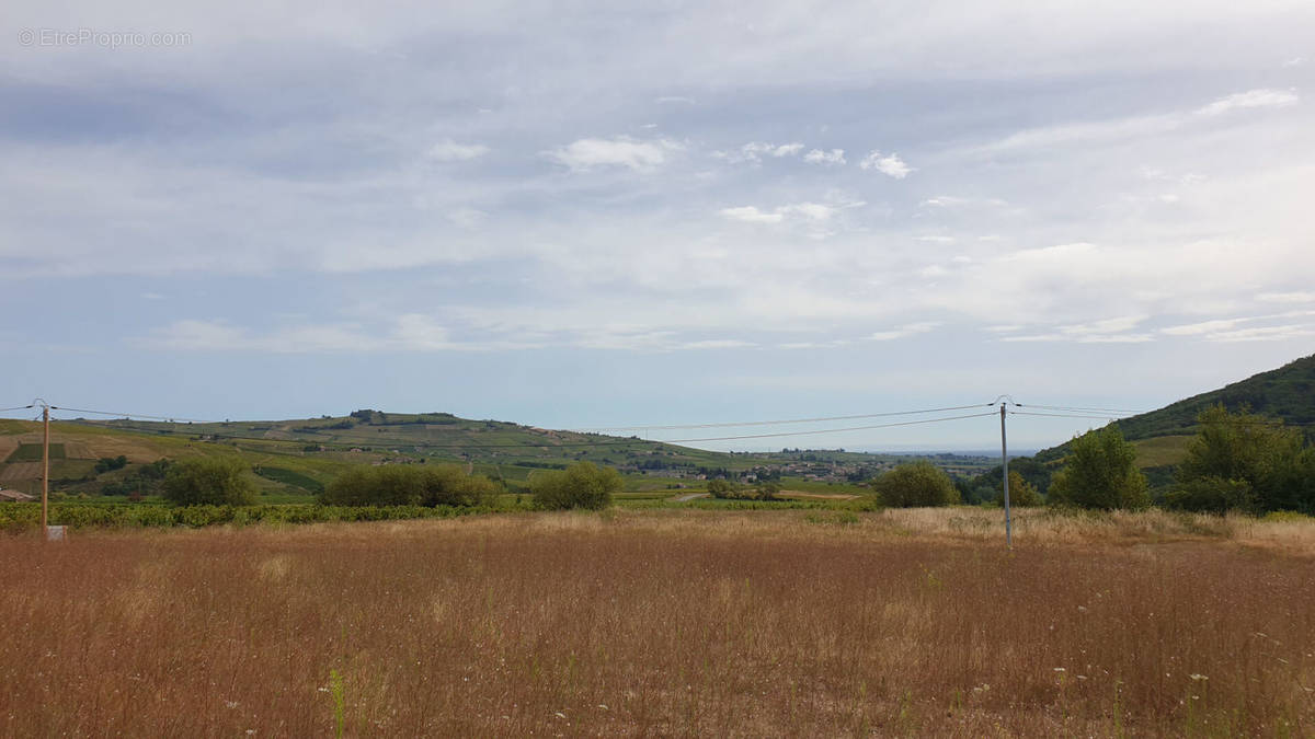 Terrain à JULIENAS